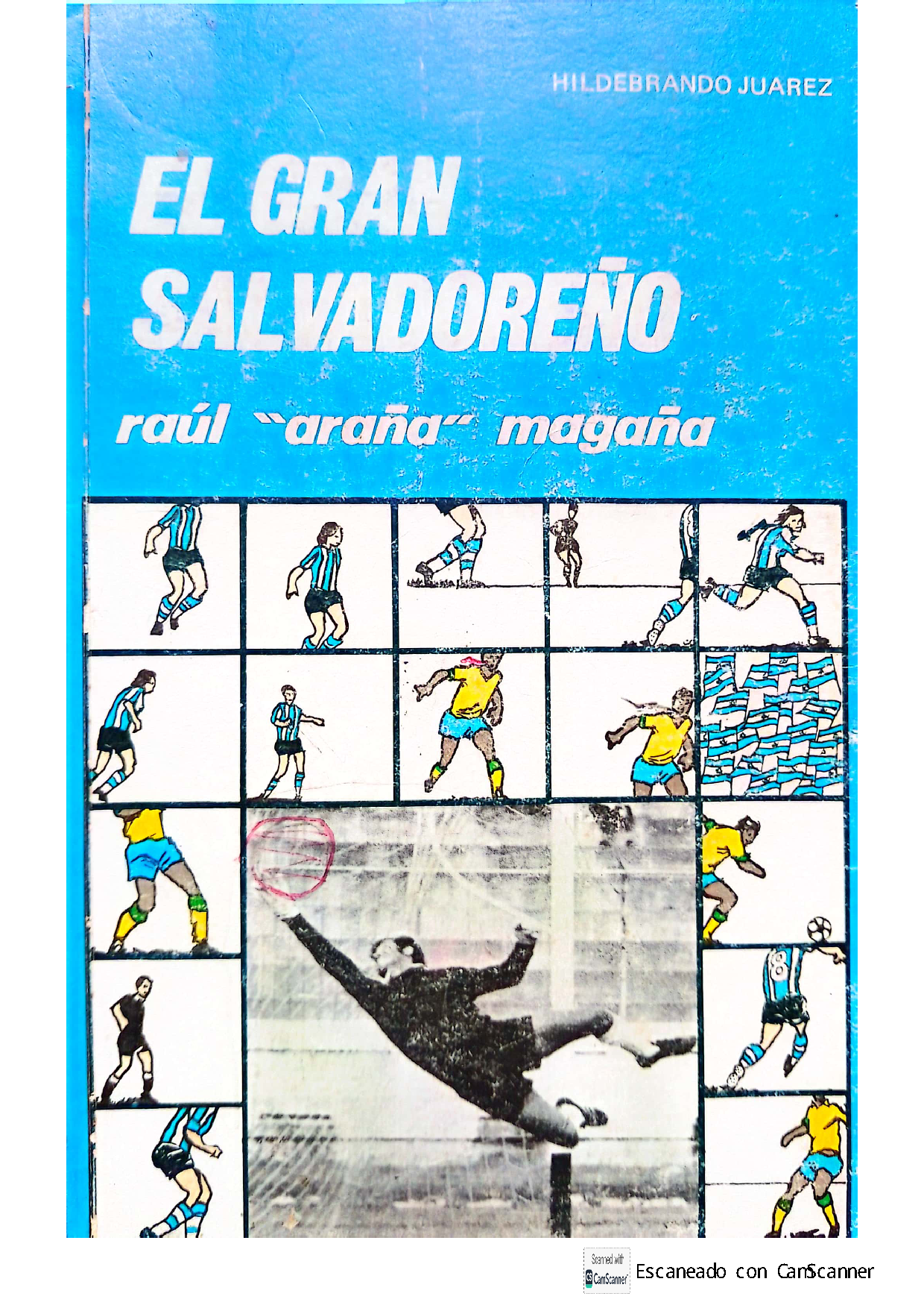 el gran salvadoreño. raúl araña magaña