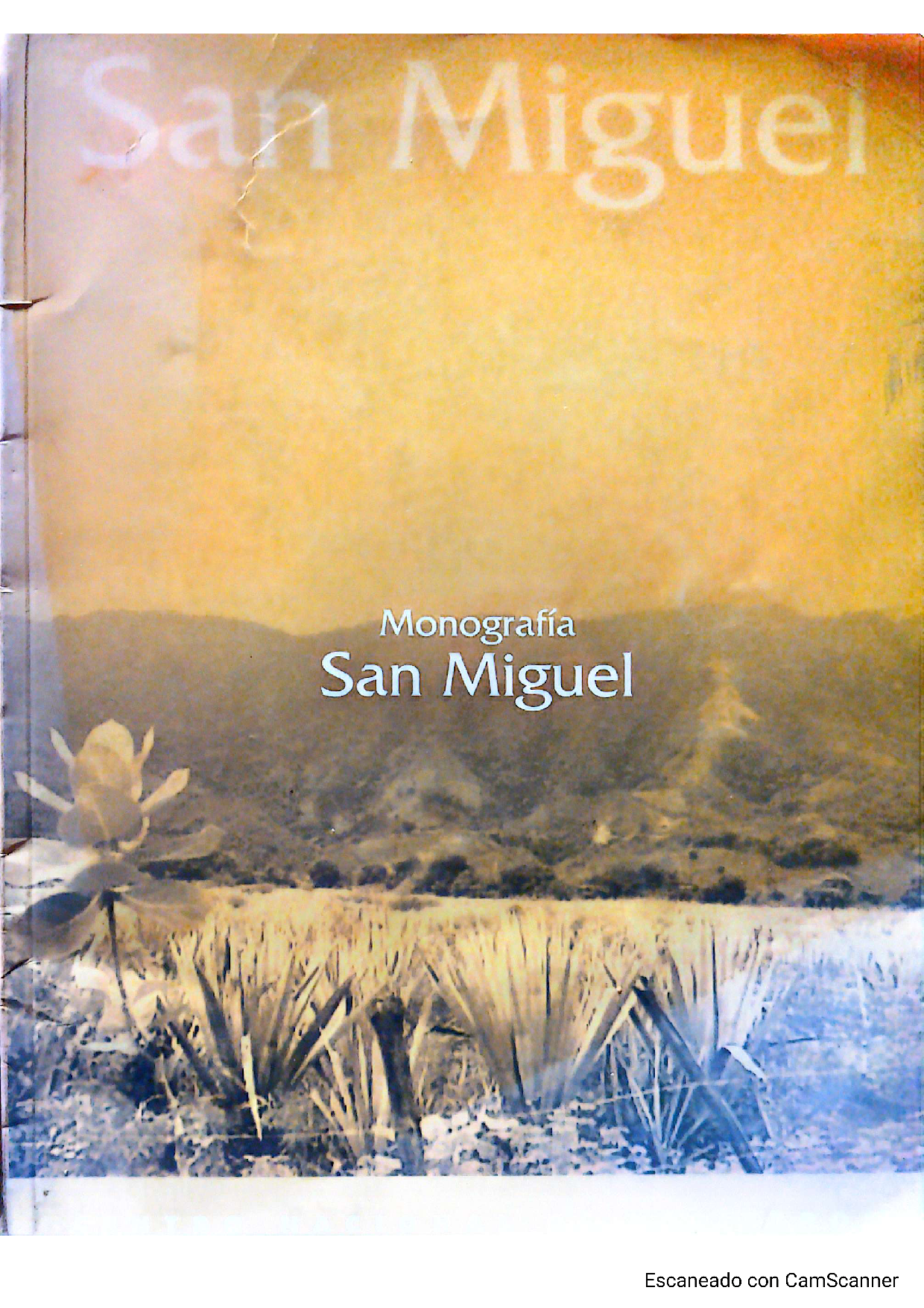 san miguel. monografía san miguel. centro nacional de registros.